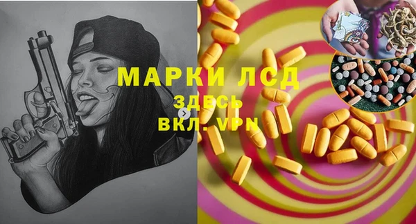 спайс Няндома