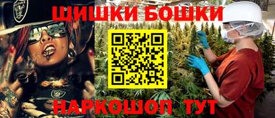 сатива Можга