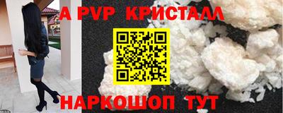 стаф Моздок