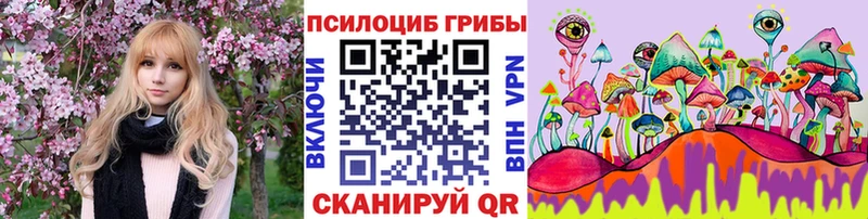 как найти наркотики  Черкесск  Псилоцибиновые грибы Cubensis 