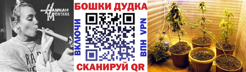 Канабис планчик  Черкесск 